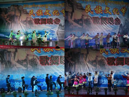 农林系民族文化传播协会第二届民族文化节歌舞晚会成功举行
